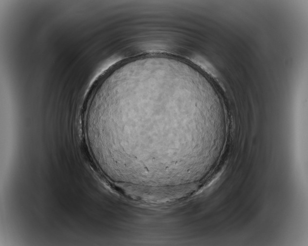 X0000086220782200704191737