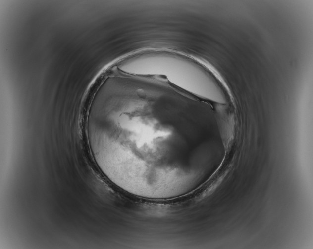 X0000086220783200704191737