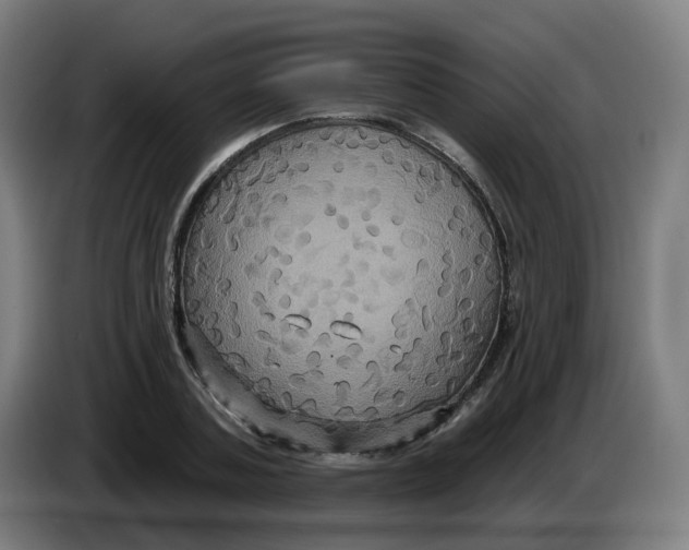 X0000086220787200704191737