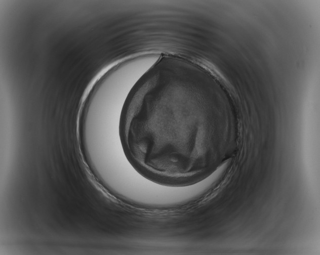 X0000086220788200704191737