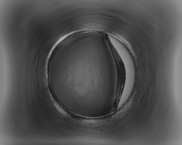 X0000086220792200704191737