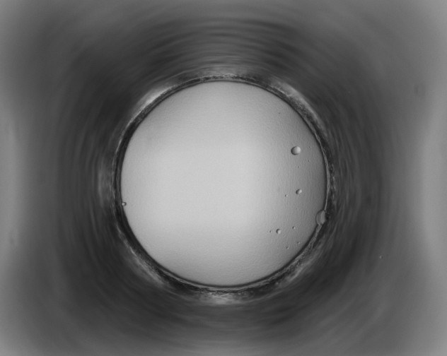 X0000086220794200704191737