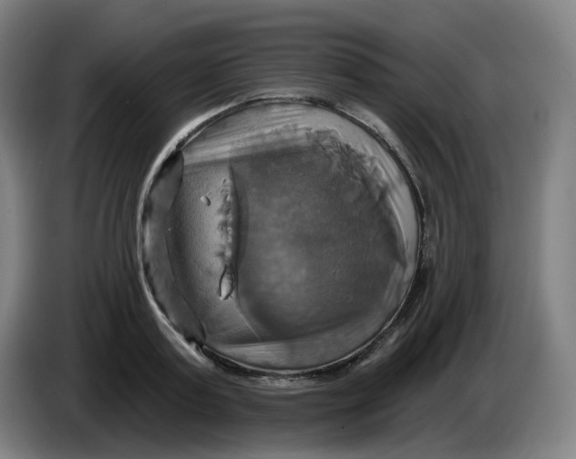 X0000086220795200704191737