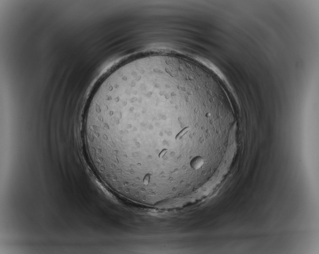 X0000086220799200704191737