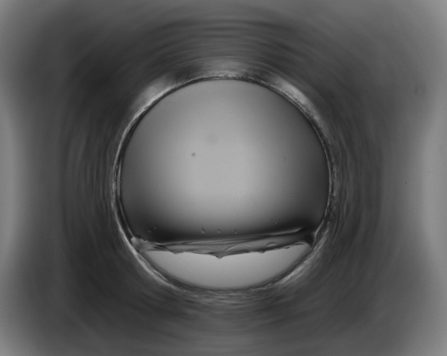 X0000086220802200704191737