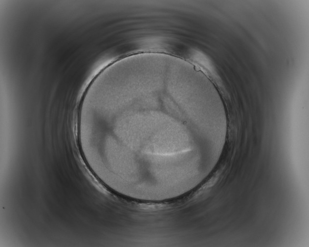 X0000086220804200704191737