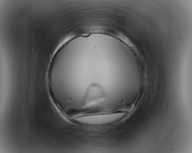 X0000086220806200704191737