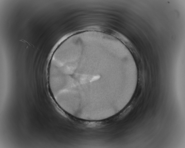 X0000086220808200704191737