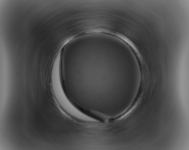 X0000086220809200704191737