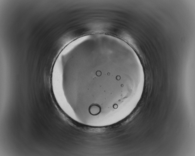 X0000086220810200704191737