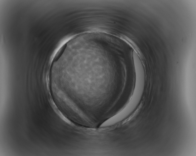 X0000086220812200704191737