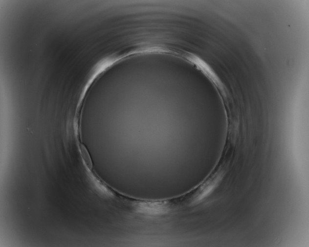 X0000086220813200704191737