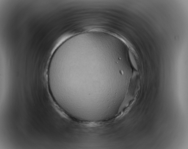 X0000086220814200704191737