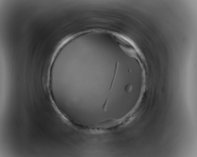 X0000086220815200704191737