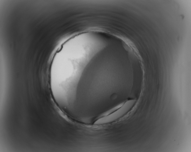 X0000086220816200704191737