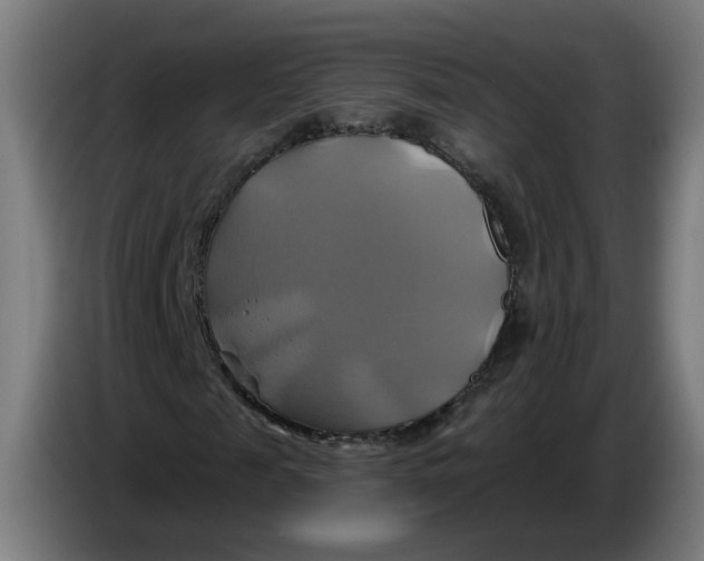 X0000086220817200704191736