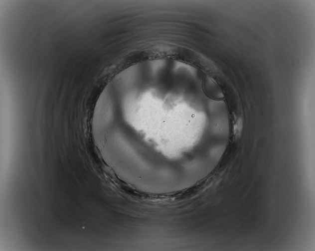 X0000086220819200704191736