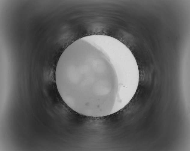 X0000086220820200704191736