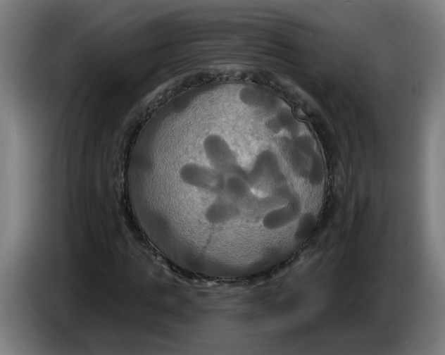 X0000086220821200704191736