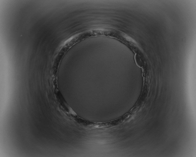 X0000086220822200704191736