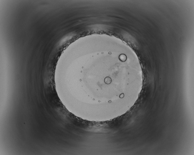 X0000086220824200704191736