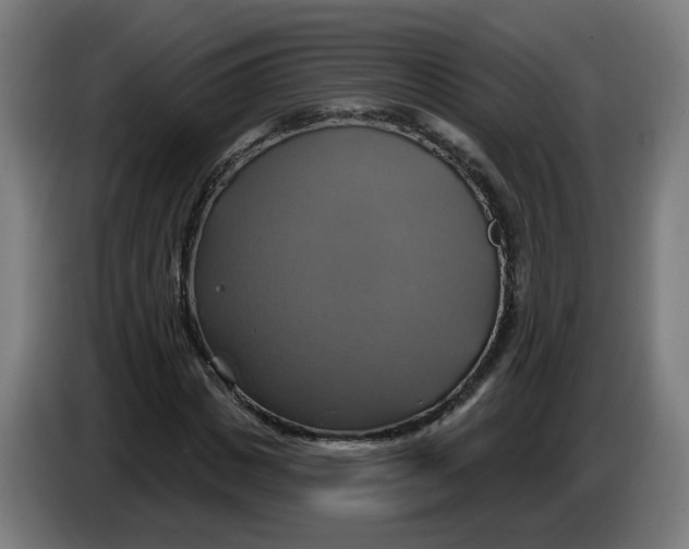 X0000086220825200704191736