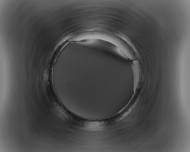 X0000086220826200704191736