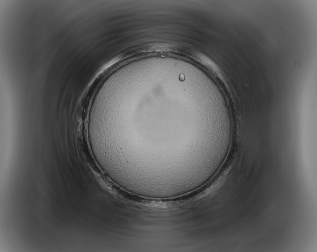 X0000086220827200704191736