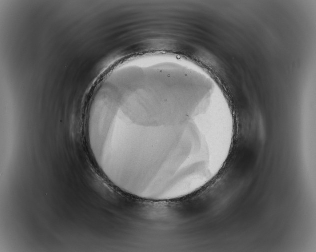 X0000086220828200704191736