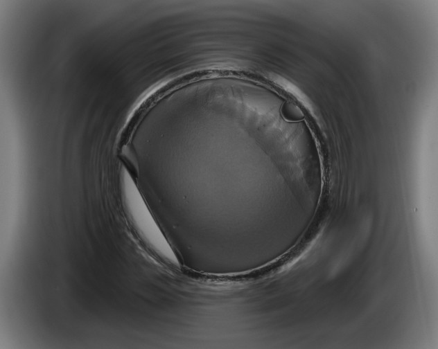 X0000086220829200704191736