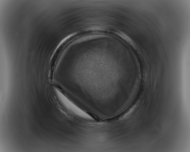 X0000086220830200704191736