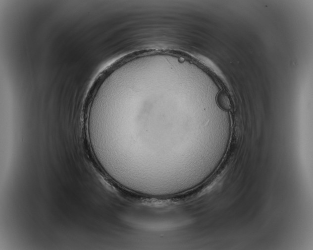 X0000086220831200704191736