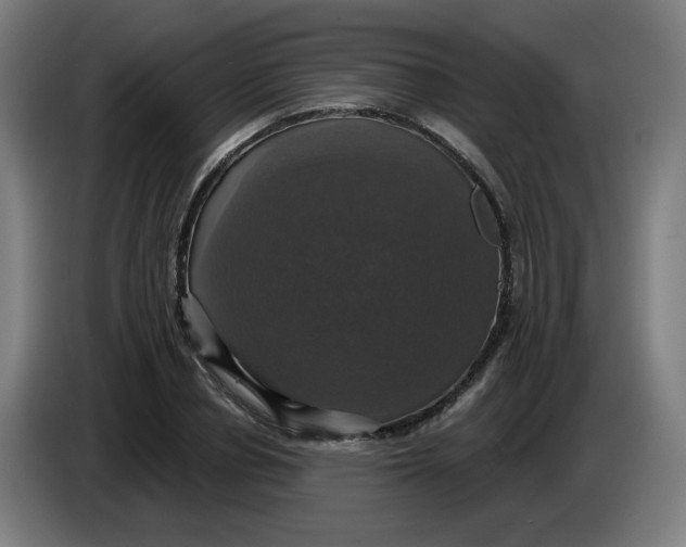 X0000086220834200704191736