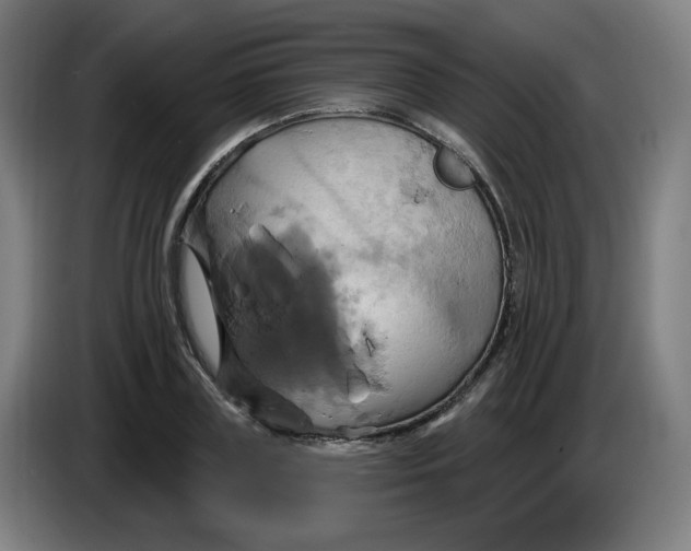 X0000086220835200704191736