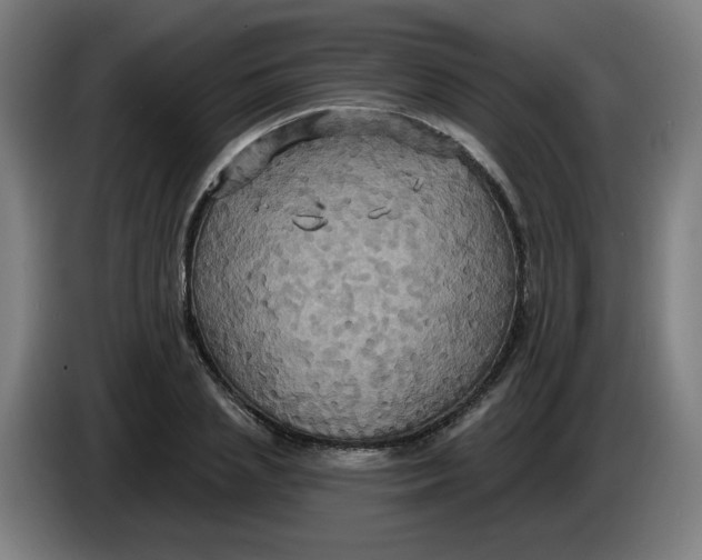 X0000086220837200704191737