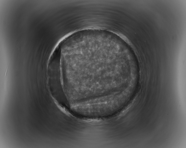 X0000086220838200704191737