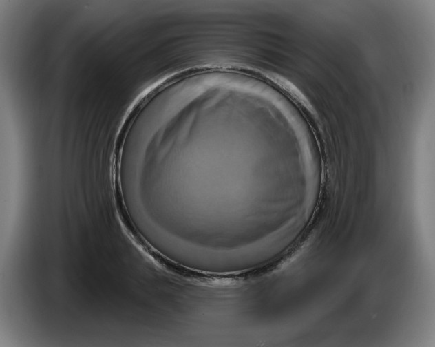 X0000086220839200704191737