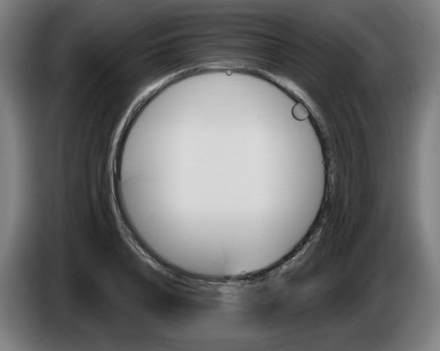 X0000086220840200704191737