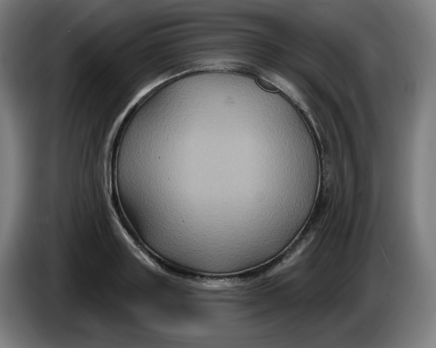 X0000086220843200704191737