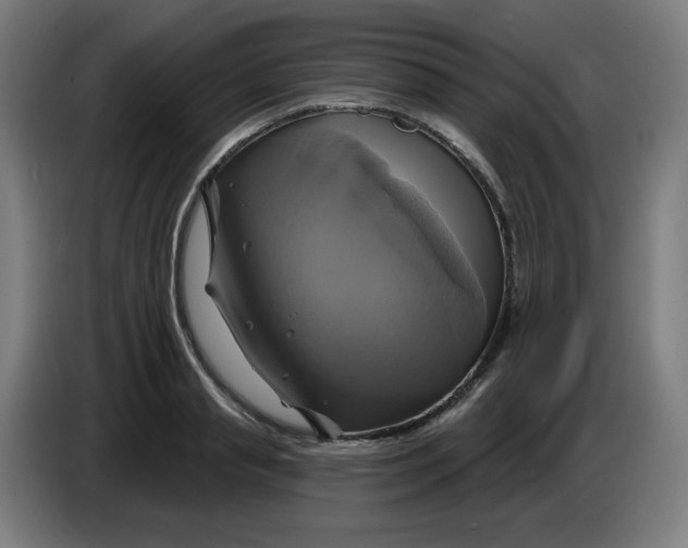 X0000086220845200704191737