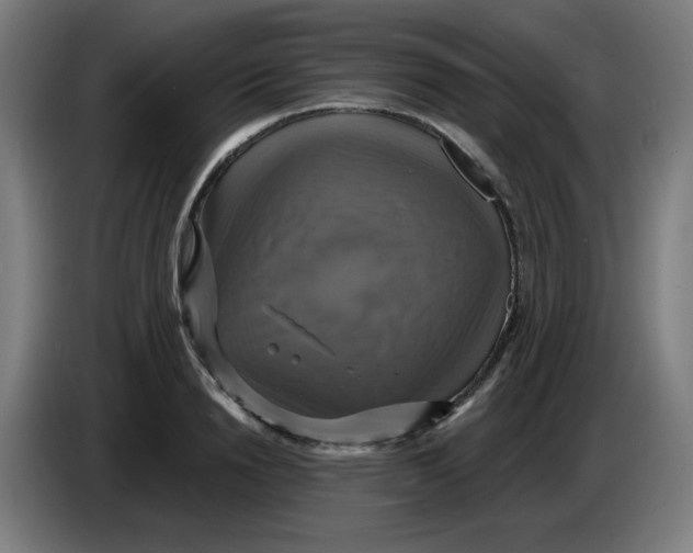 X0000086220846200704191737