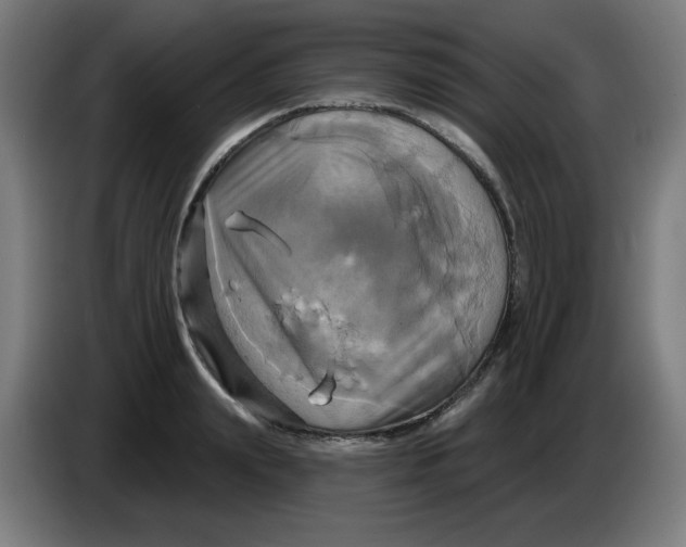 X0000086220847200704191737