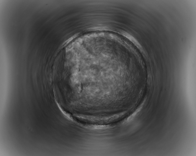 X0000086220849200704191737