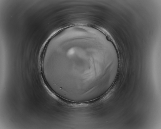 X0000086220851200704191737