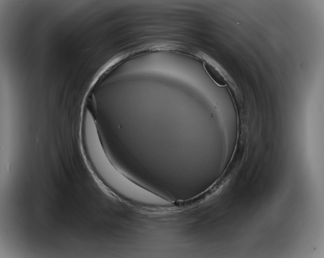 X0000086220853200704191737