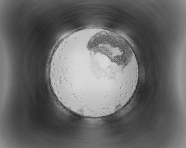 X0000086220856200704191737