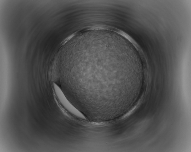 X0000086220857200704191737