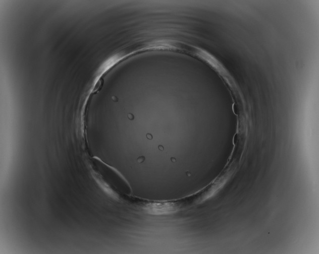 X0000086220858200704191737