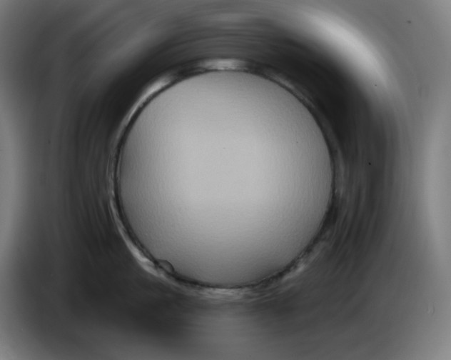 X0000086220861200704191737