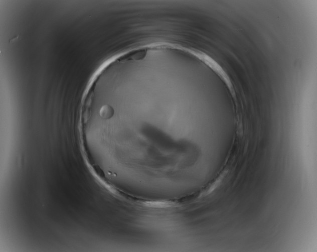 X0000086220863200704191737